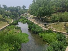 -羊山湖公园
