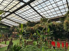 -呀路古热带植物园