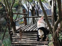-黔灵山公园