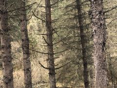 -硗碛藏寨·神木垒景区