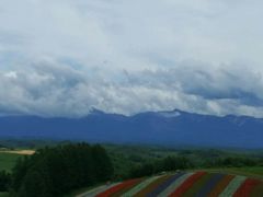 -富田农场