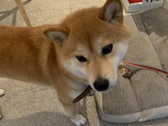 -三目仓咖啡(贤南路店)