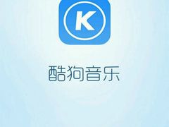 -华莱士·全鸡汉堡(湛江新华店)
