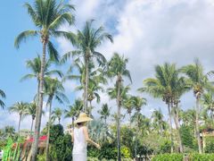 -三亚亚龙湾天域度假酒店