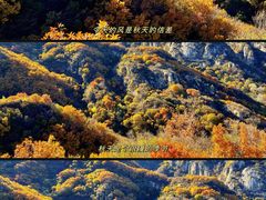 -云蒙山风景区