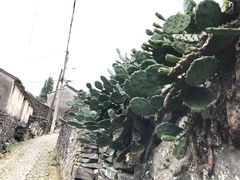 -许家山