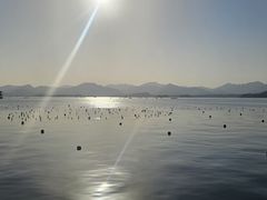 -杭州湖滨in77