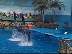 -海合安成都极地海洋公园