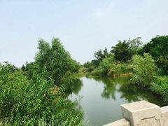 -梁鸿国家湿地公园