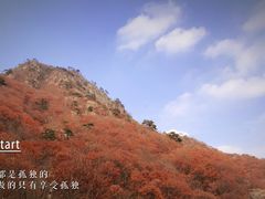 -大连天门山国家森林公园