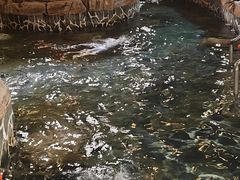 -泉城欧乐堡戏水湾艺术养生温泉