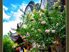 -武汉园博园(武汉自然博物馆)