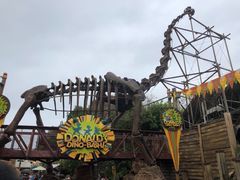 -奥兰多迪士尼动物王国乐园