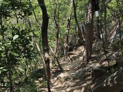 -虞山风景区