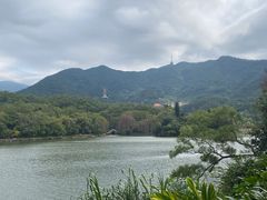 -深圳仙湖植物园