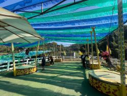 -阿菠萝小猪农场·萌宠乐园·亲子游·研学