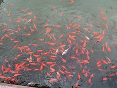 -绍兴大禹开元观堂-若耶厅