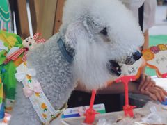 -IPARK购物中心