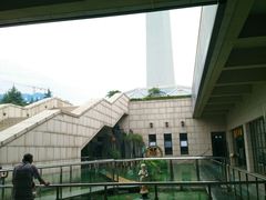 -陕西自然博物馆