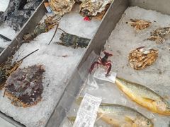 -盒马鲜生(大成店)