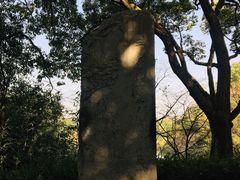 -杭州花家山庄