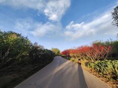 -永定河休闲森林公园