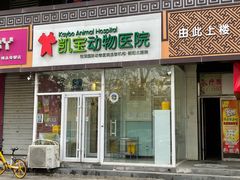 -悦宠凯宝动物医院·牙科·皮肤科(朝阳北路店)