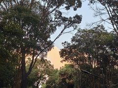 -广州市白云山风景名胜区