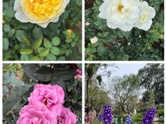 -人民公园(罗湖区)