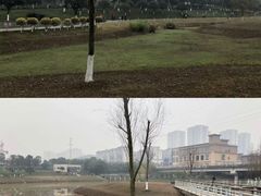 -沐仙湖湿地公园