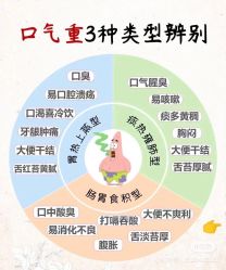 -香薇妮丝女子减肥院