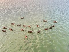 -海珠湖公园