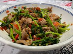 -壹盏灯(惠农店)