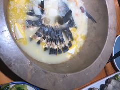 -滇小鱼·云南野生菌火锅(上杭路店)