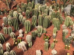 -南通洲际绿博园