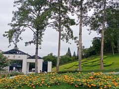 -广州市白云山风景名胜区