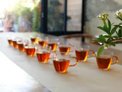 -小茶闲舍·观景商务茶馆(广州塔店)