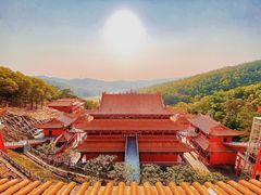 -东莞市大岭山森林公园