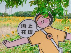 -杭州湾海上花田景区