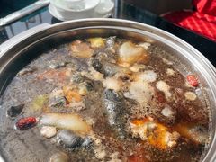 -甲鱼火锅(北村小区店)