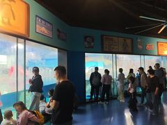-海合安武汉极地海洋公园