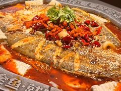 -马有鱼·馕坑烤全鱼(美美2店)