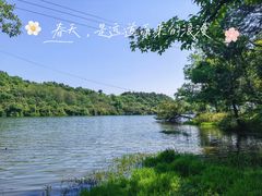 -南京市无想山景区