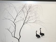 -罗红摄影艺术馆