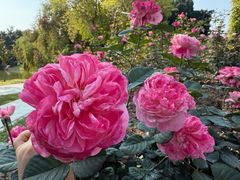 -人民公园(罗湖区)