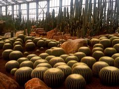 -南通洲际绿博园