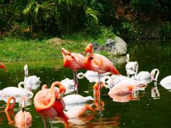 -杭州野生动物世界