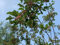 -廊坊文化艺术中心