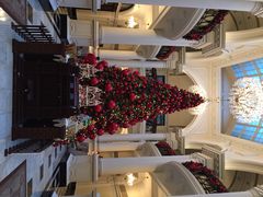 Salon&nbsp;de&nbsp;Ville-Salon de Ville浦江汇(上海外滩华尔道夫酒店店)