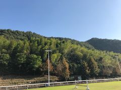 -梦娜斯庄园